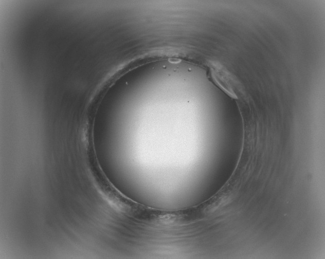 X0000073840064200608311945