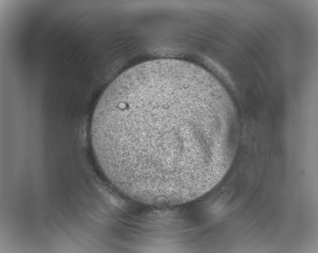 X0000073840065200608311945