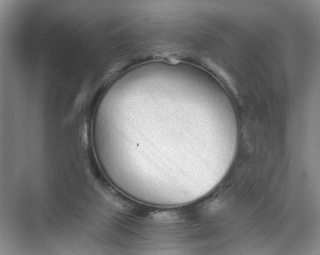 X0000073840067200608311945