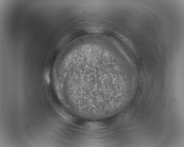 X0000073840069200608311945