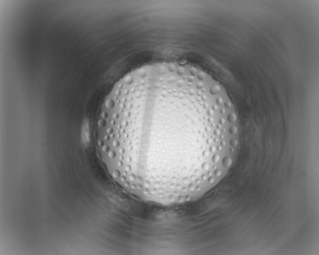 X0000073840075200608311945