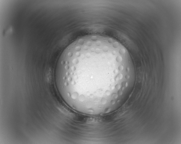 X0000073840077200608311945