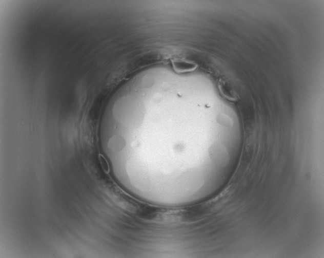 X0000073840078200608311945