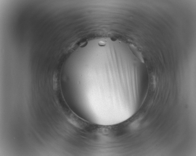 X0000073840080200608311946