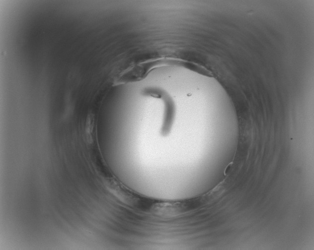 X0000073840082200608311946