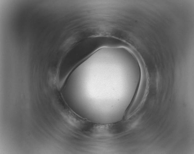 X0000073840084200608311946