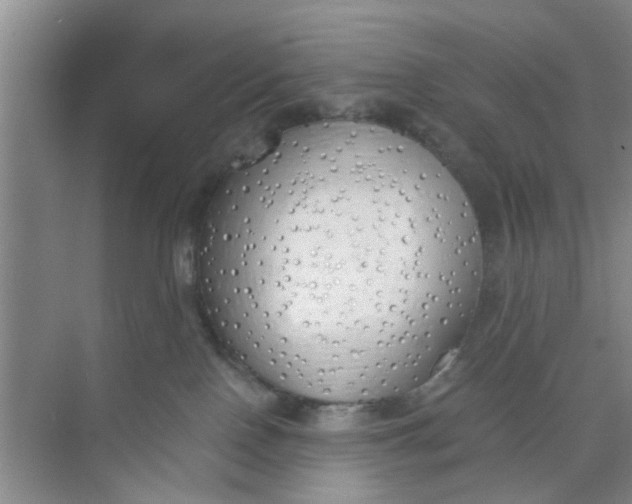 X0000073840090200608311946