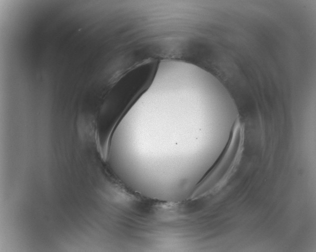 X0000073840092200608311946