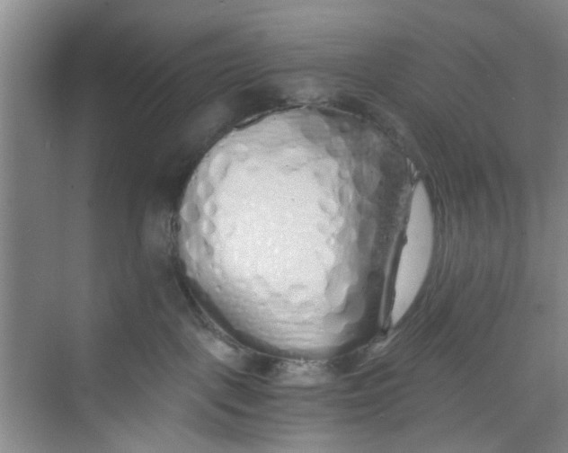 X0000073840093200608311946