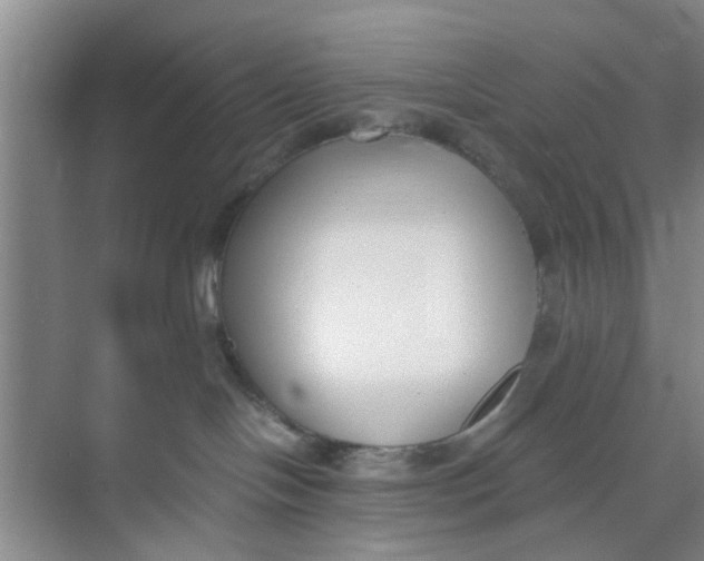 X0000073840094200608311946