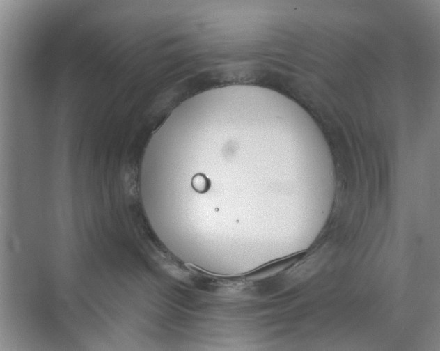 X0000073840096200608311946