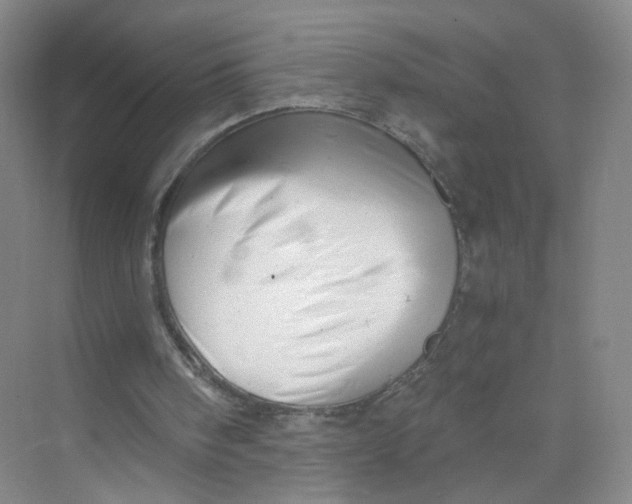 X0000073840098200608311945