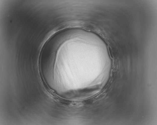 X0000073840099200608311945