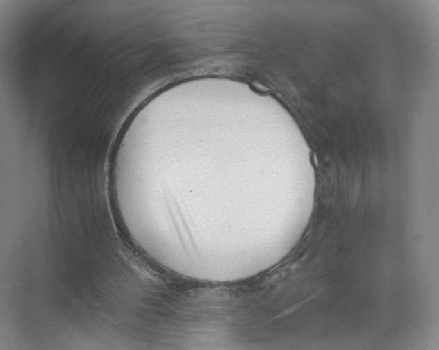 X0000073840100200608311945