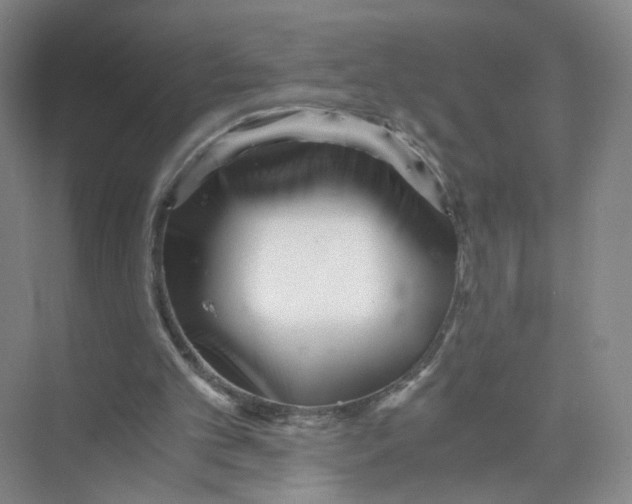 X0000073840101200608311945