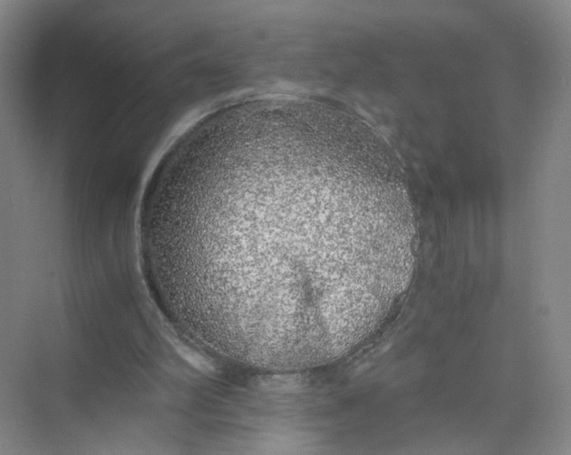 X0000073840102200608311945