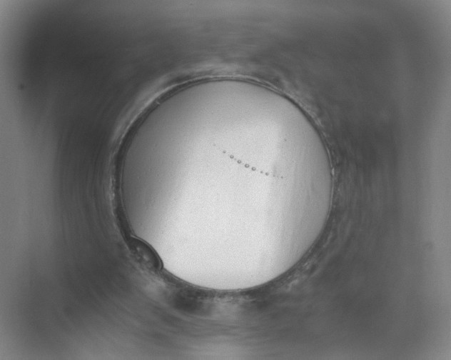 X0000073840103200608311945