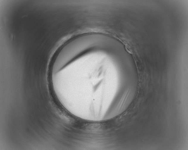 X0000073840104200608311945