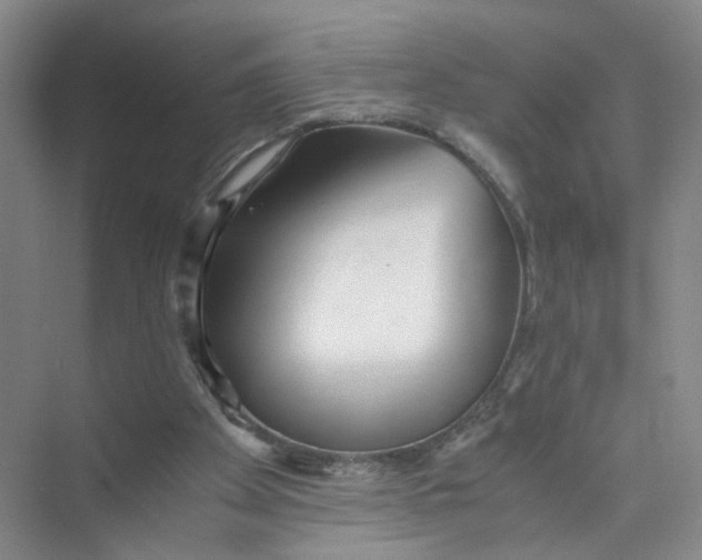 X0000073840105200608311945