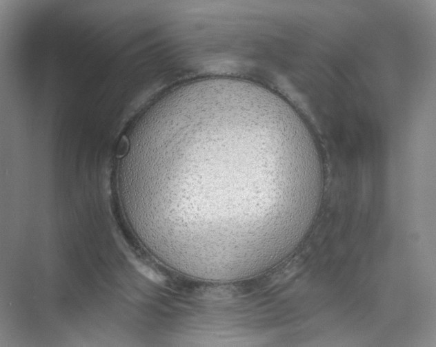 X0000073840106200608311945