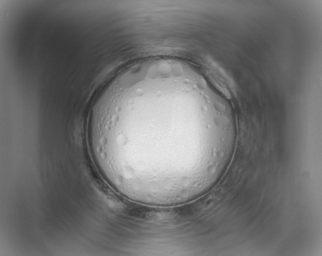 X0000073840107200608311945