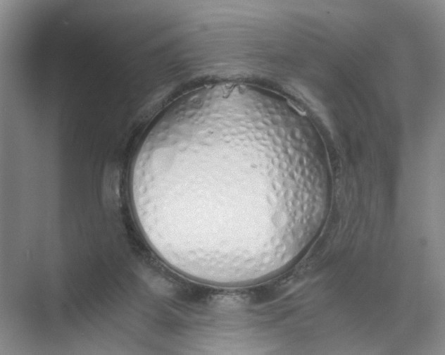 X0000073840115200608311945