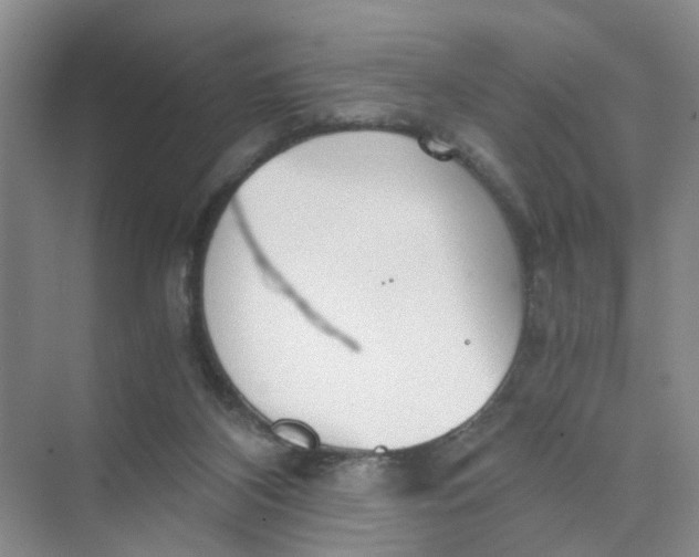 X0000073840116200608311945