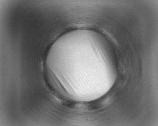 X0000073840117200608311945