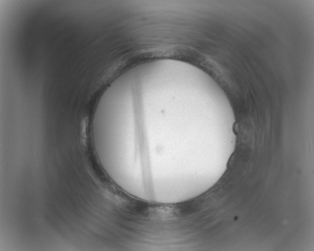 X0000073840118200608311945