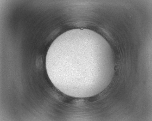 X0000073840120200608311945