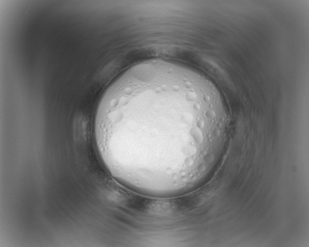 X0000073840123200608311945