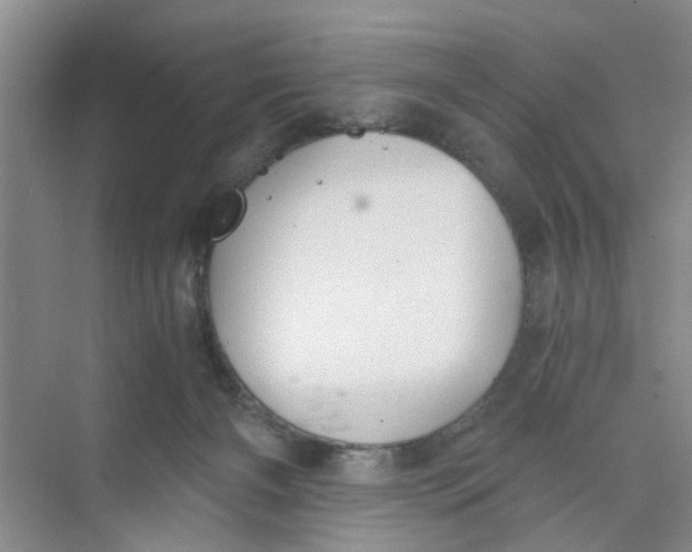 X0000073840126200608311944