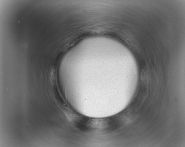 X0000073840127200608311944