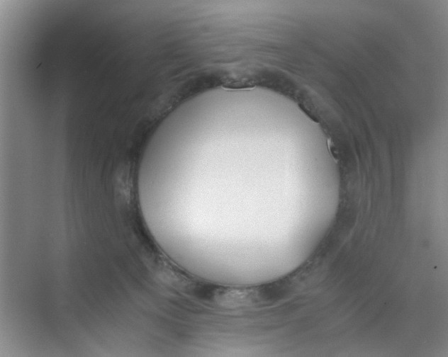 X0000073840129200608311944