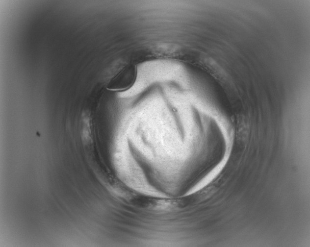 X0000073840130200608311944