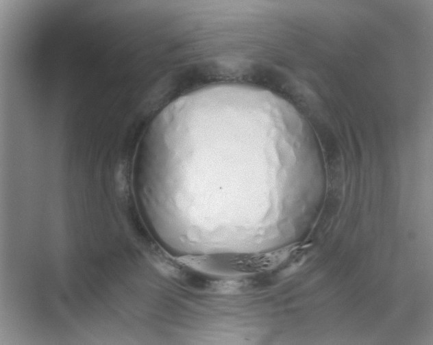 X0000073840131200608311944