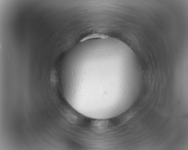 X0000073840135200608311944