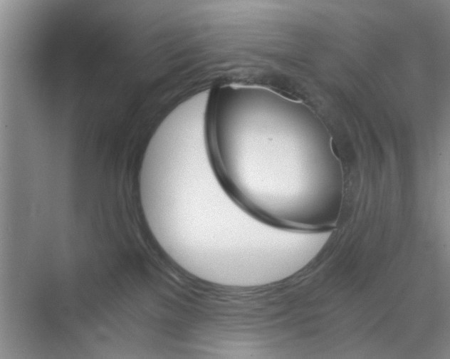 X0000073840137200608311944