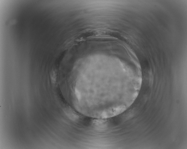 X0000073840139200608311944