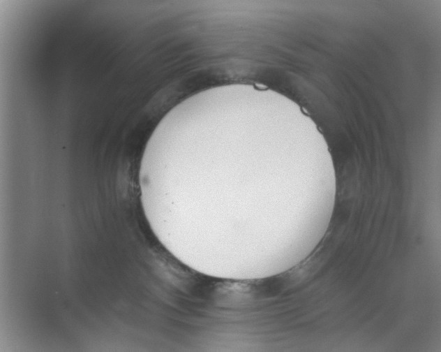 X0000073840140200608311944