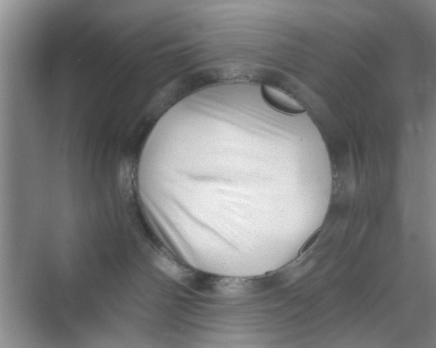 X0000073840142200608311944