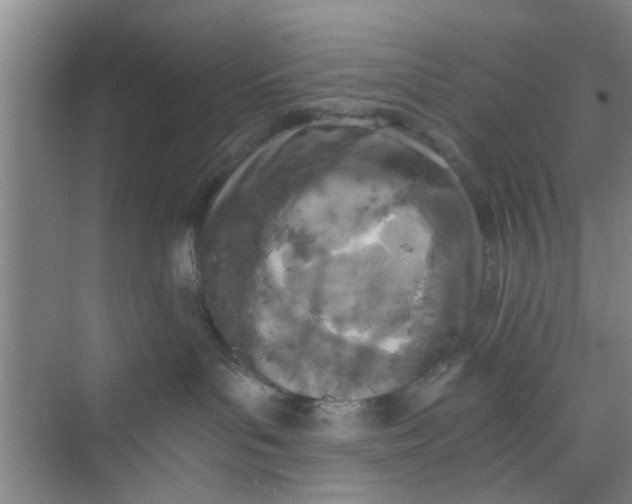 X0000073840143200608311944