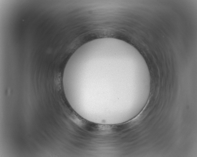 X0000073840144200608311944