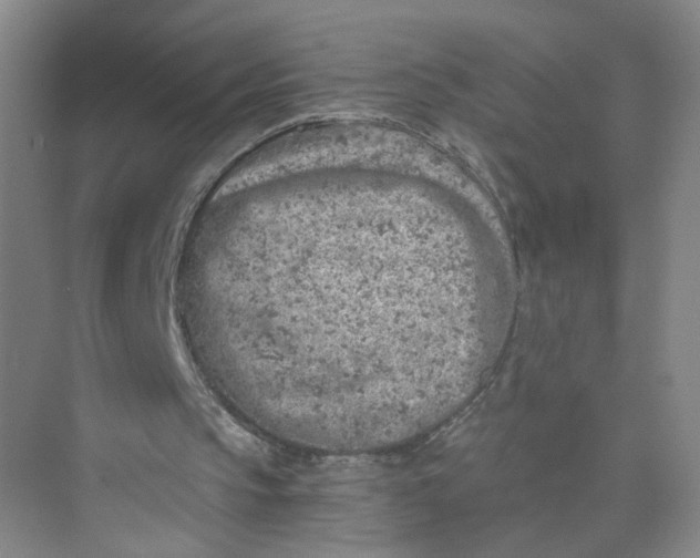 X0000073840145200608311943