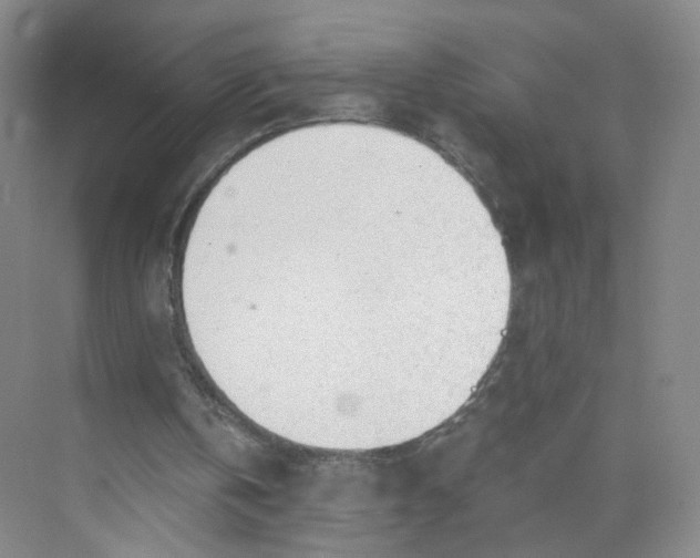 X0000073840146200608311943