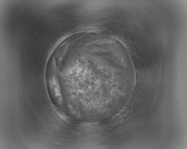 X0000073840147200608311943