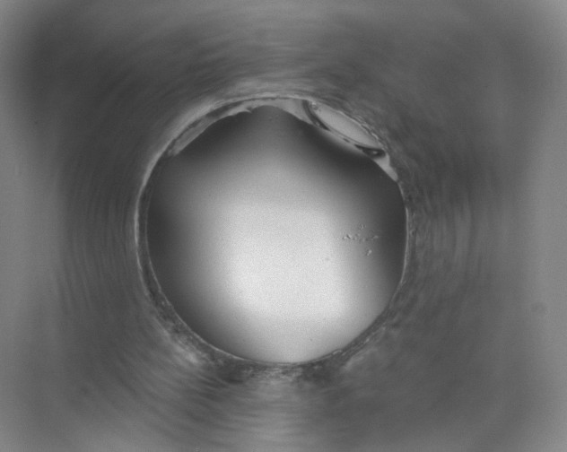 X0000073840148200608311943