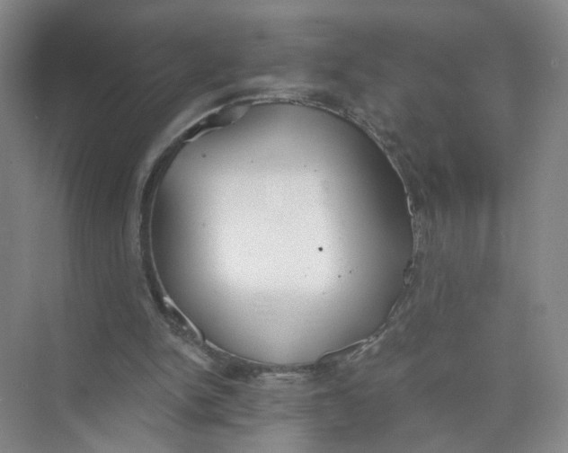 X0000073840150200608311943