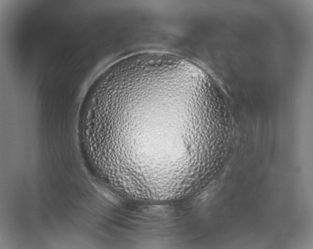 X0000073840151200608311943