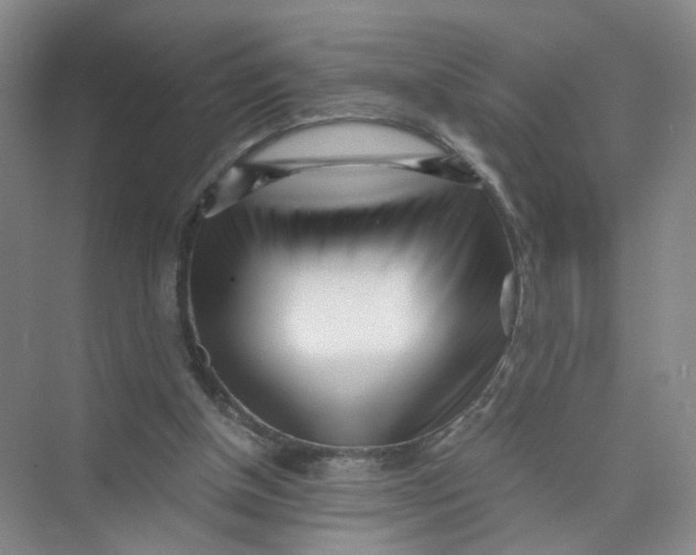 X0000073840154200608311944